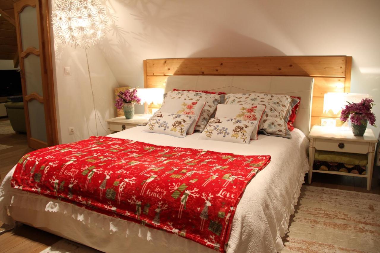 Rezydencja Tatry - Apartament Chamerion 1 扎科帕内 外观 照片