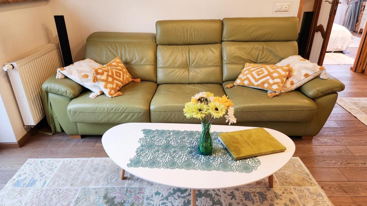 Rezydencja Tatry - Apartament Chamerion 1 扎科帕内 外观 照片