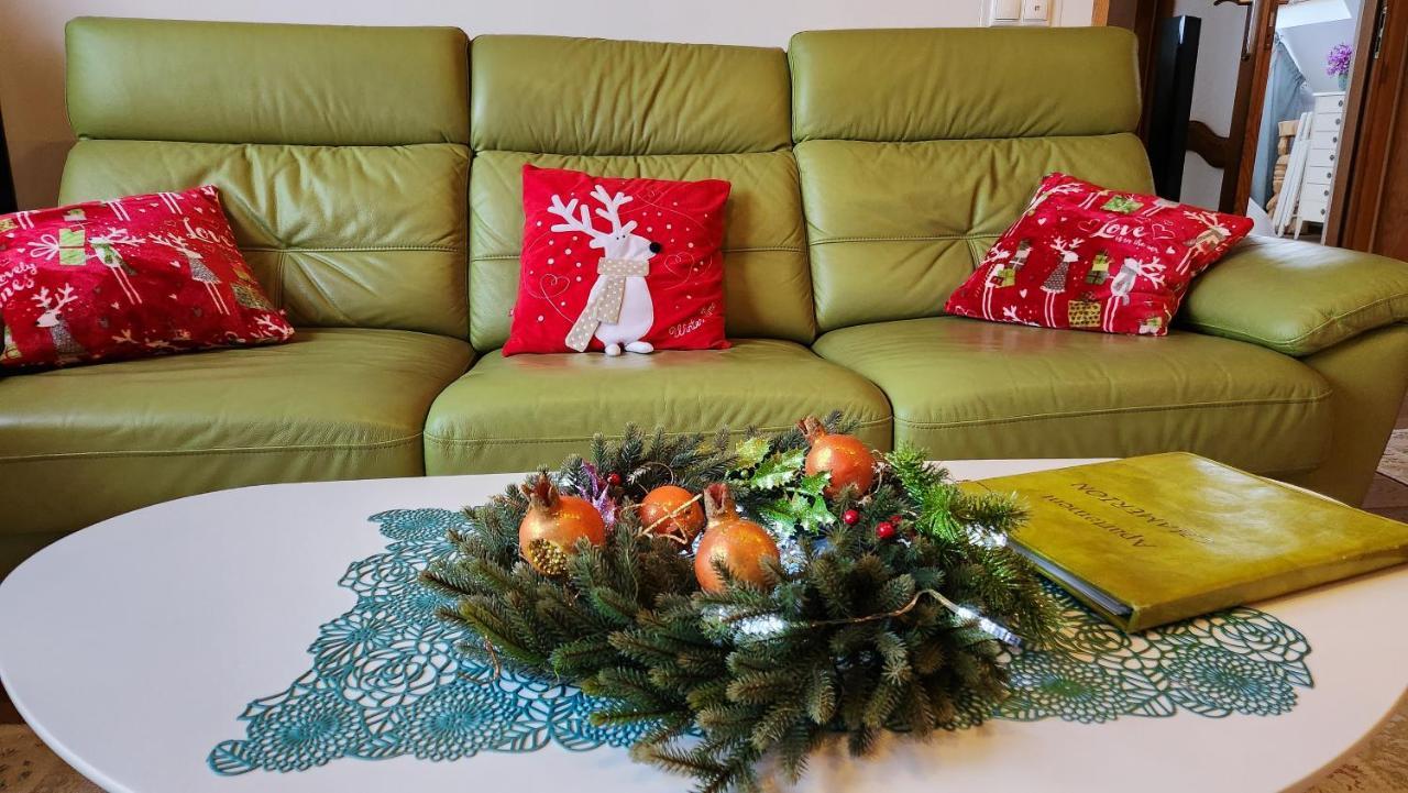 Rezydencja Tatry - Apartament Chamerion 1 扎科帕内 外观 照片